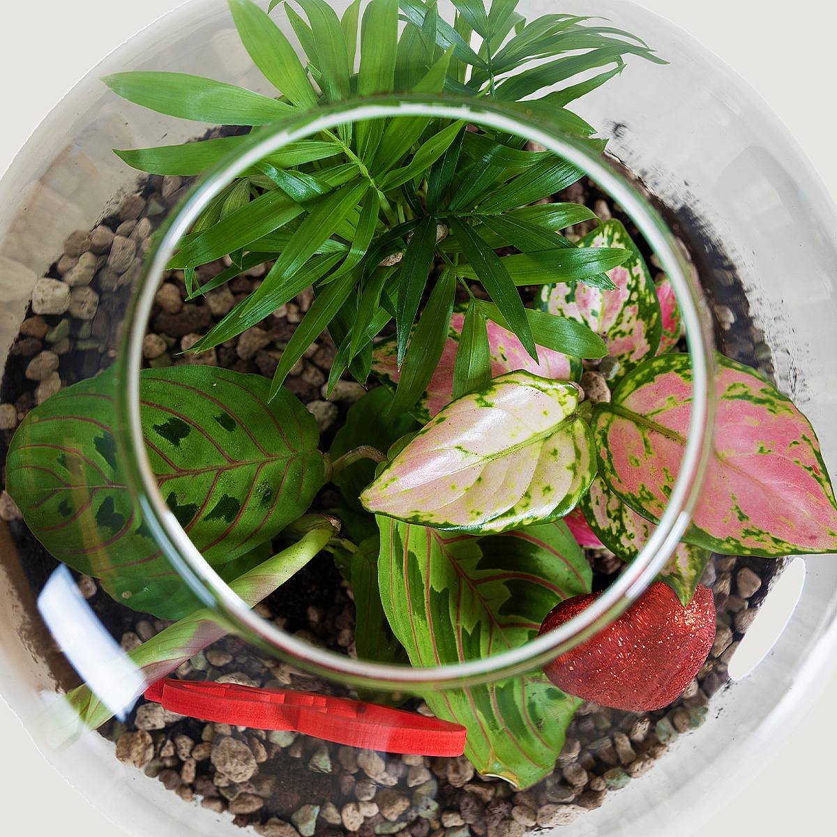 Amorkova oáza - Valentýnský den picture 1