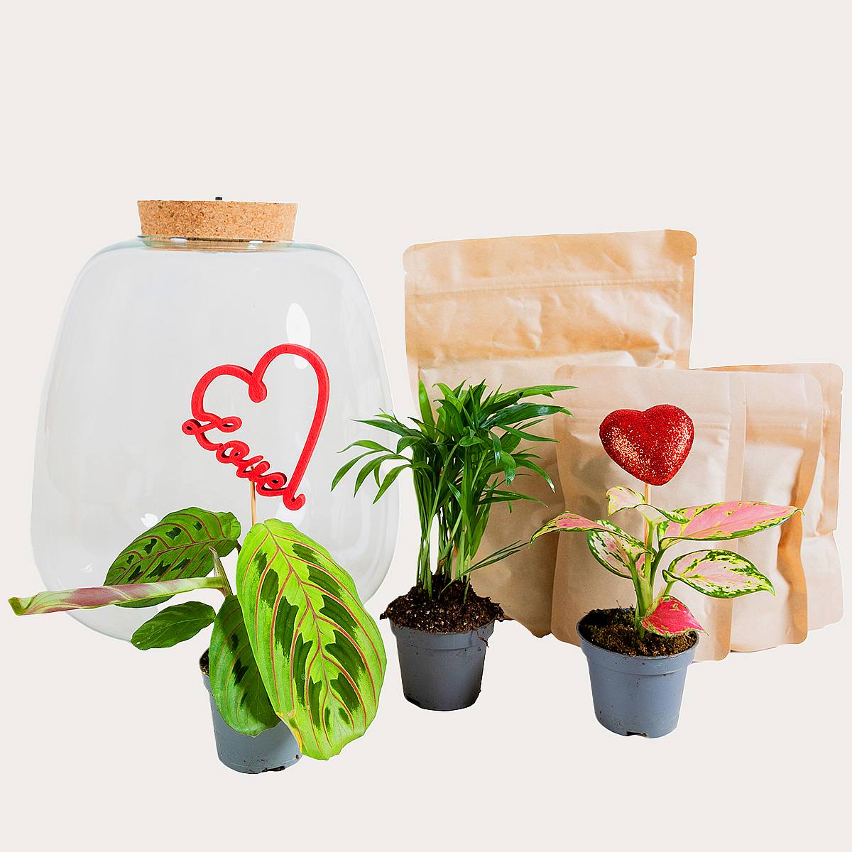 Amorkova oáza - Valentýnský den picture 3