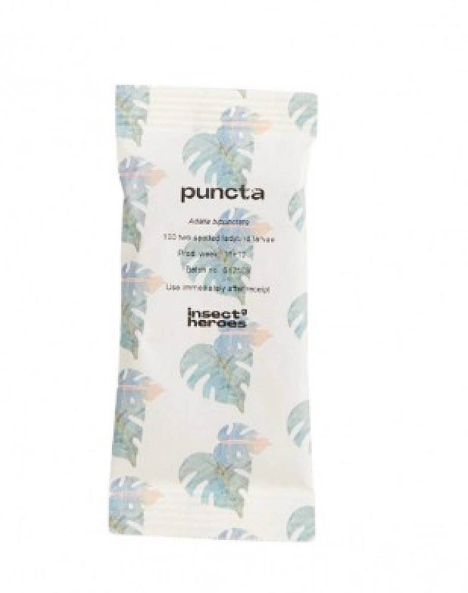 biologická kontrola škůdců: mšice picture 0