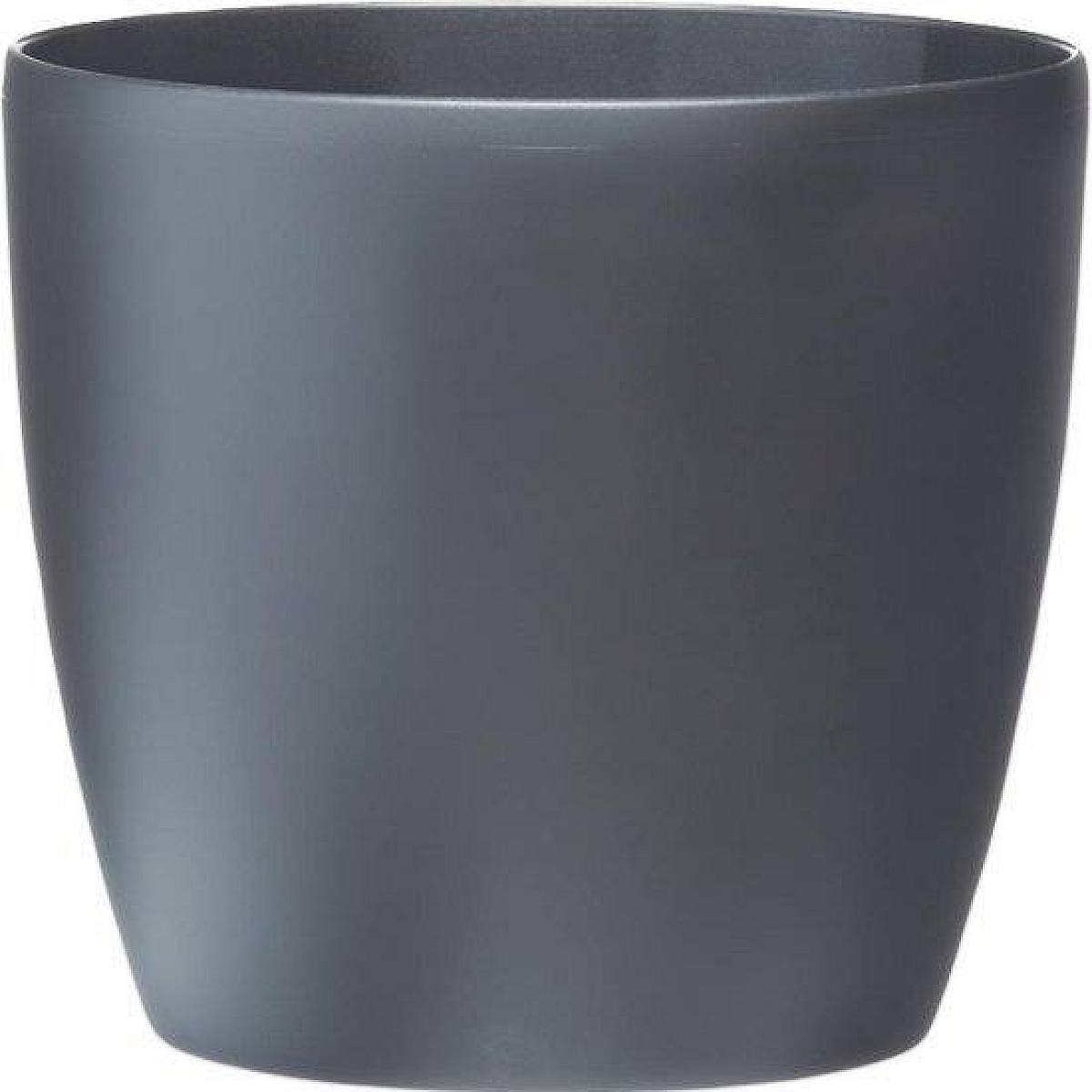 Brussels Kruka - XL/25cm picture 0