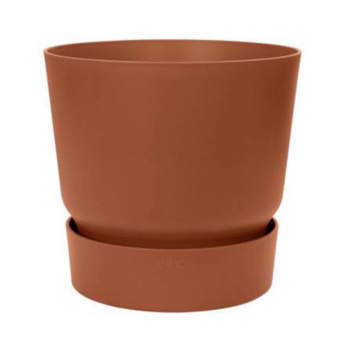 Valencia Kruka - XL/25cm picture 0