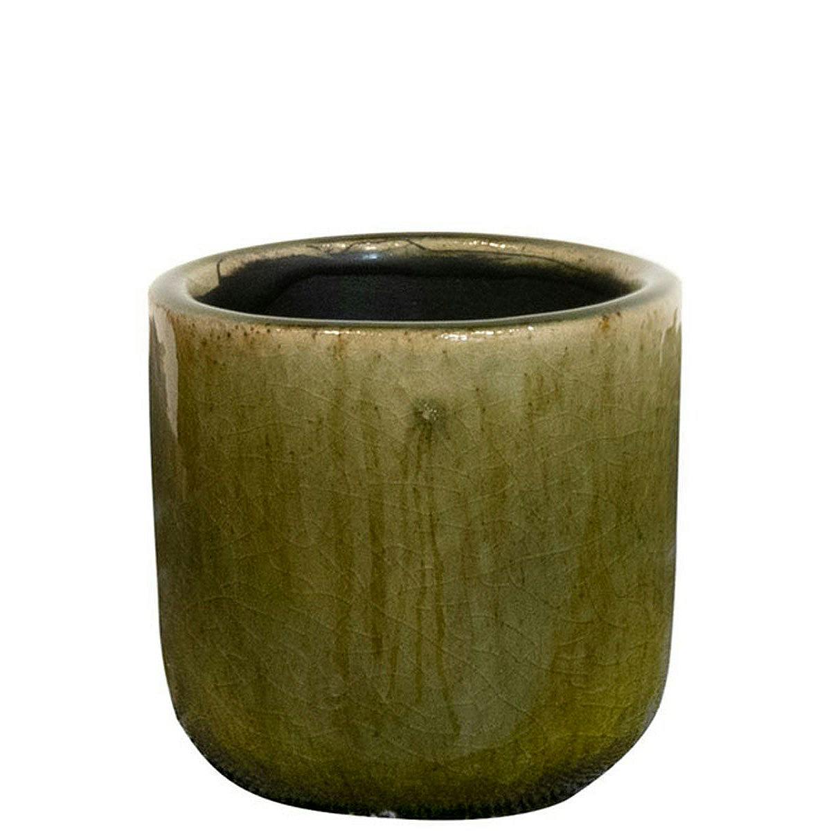 Neuf pot vert D7 picture 0