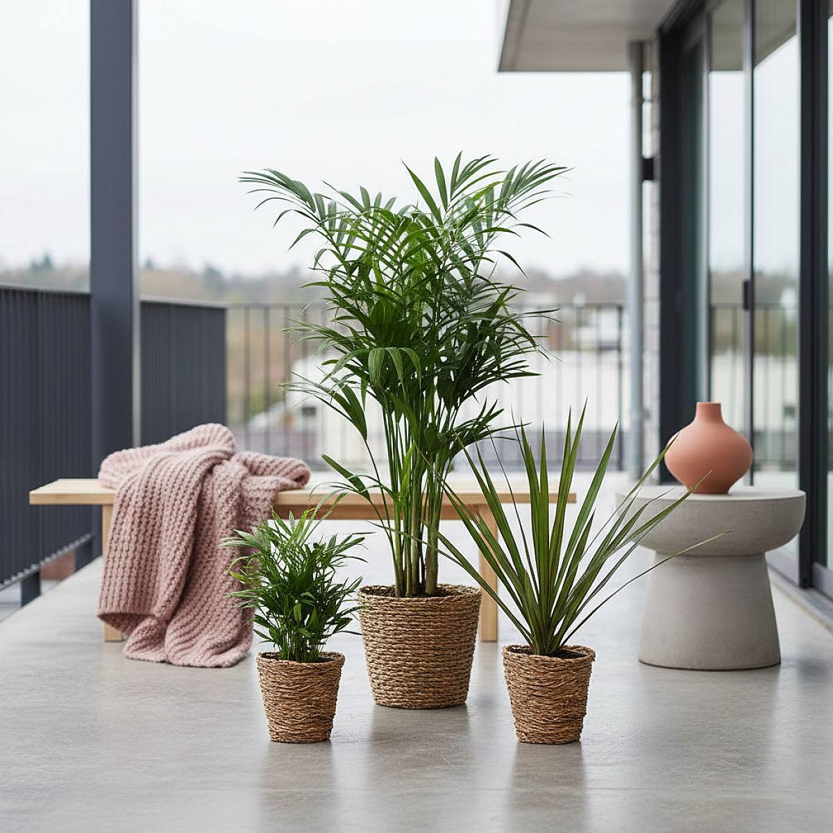 4 Luftreinigungsmix picture 2