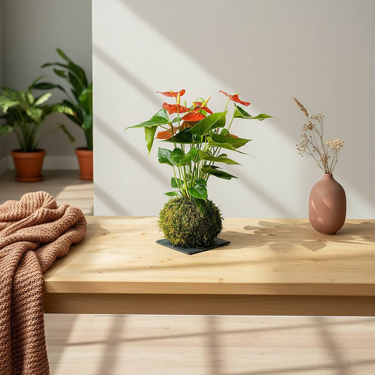 Kokedama Anthurium picture 4