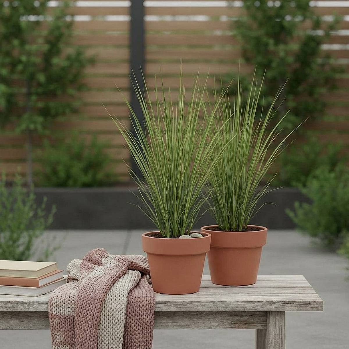 Cortaderia Pumila Duo picture 1
