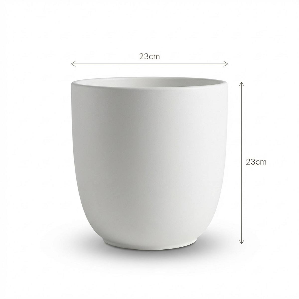 Tusca Vit Kanna - XL/23cm picture 5