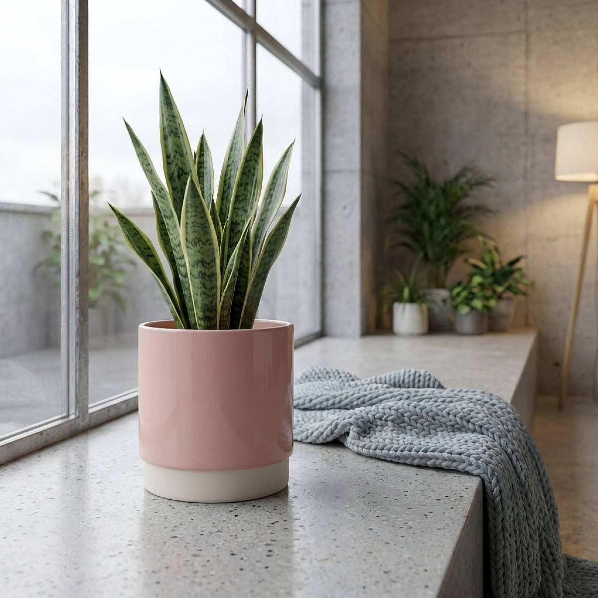 Vaso Eno Rosa - M/15cm picture 1