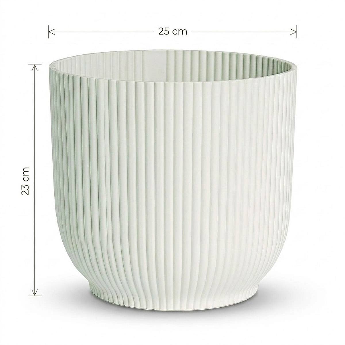 Toronto Kruka - XL/25cm picture 2