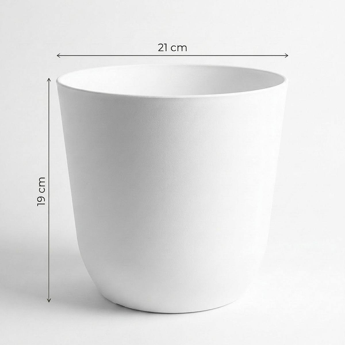 Palermo Vit - XL/21cm picture 2