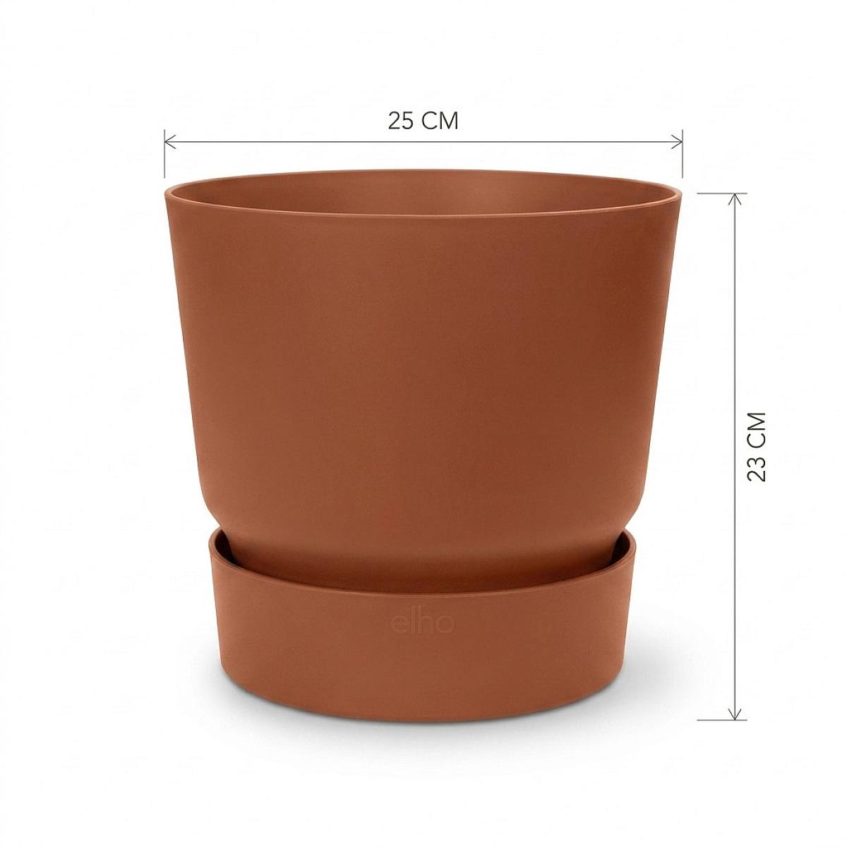Valencia Kruka - XL/25cm picture 2