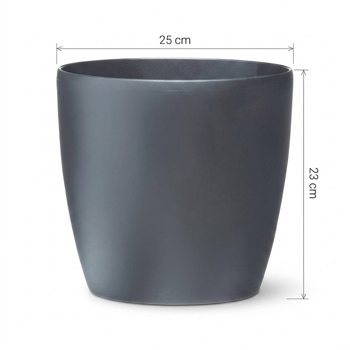 Brussels Kruka - XL/25cm picture 3