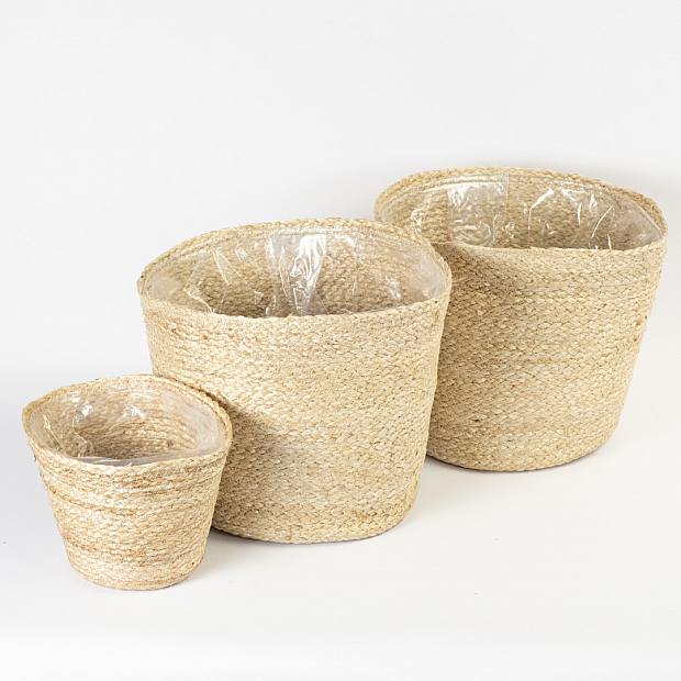 Trio cache-pots Nauru