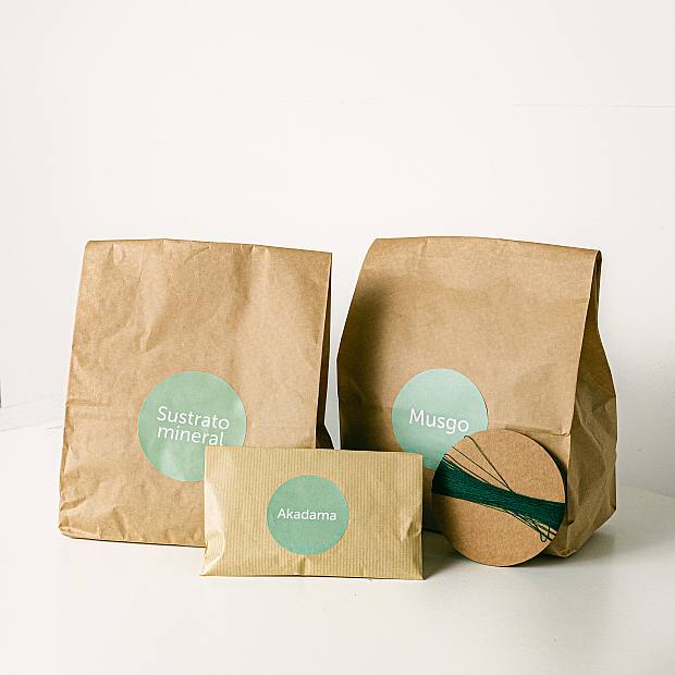 Pack DIY Kokedama Cham details