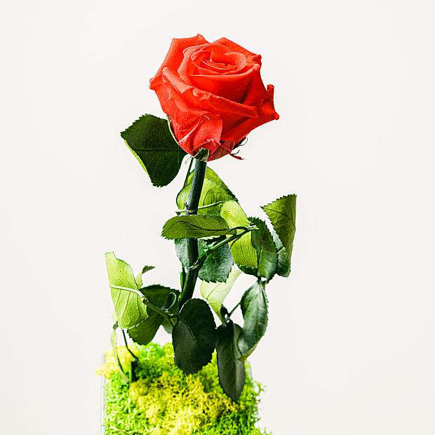 Rose en Cristal details