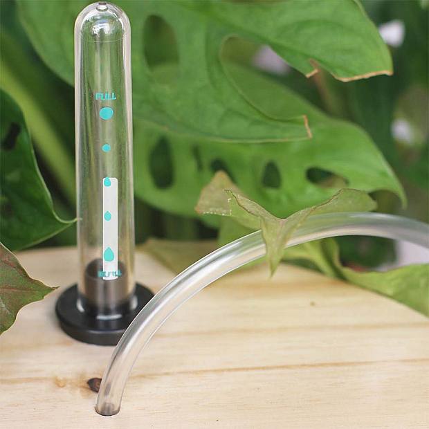 Bílé postříkání details