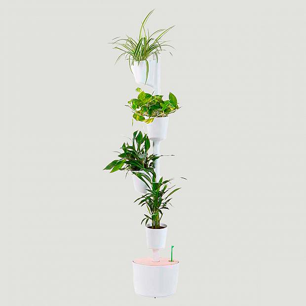 Chytrá zahrada M details