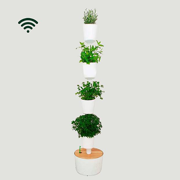 Smart Harvest Wifi M