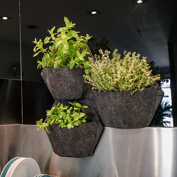 Trio giardino intelligente