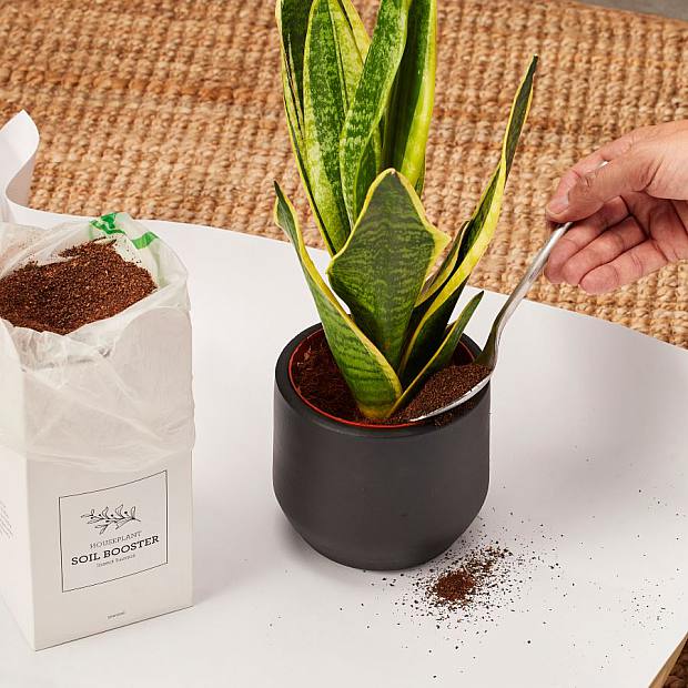 Booster de sol 1000ml details