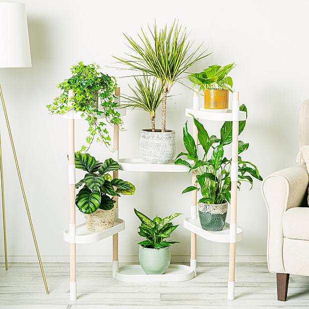 Garden in height - White