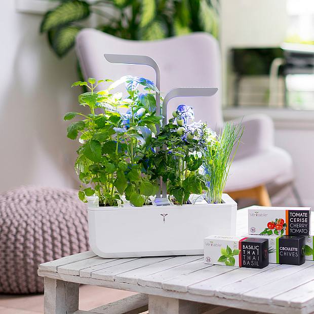 Veritable Smart details