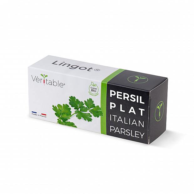 Lingot de perejil details