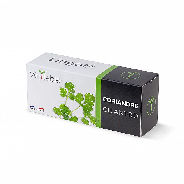 Lingot de cilantro details