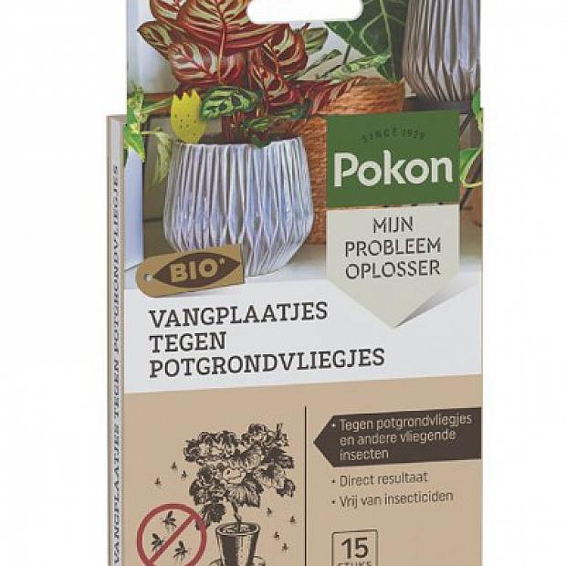 Pièges à mouches bio