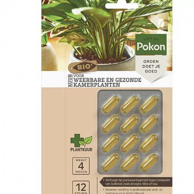 Capsules Bio Plantes details