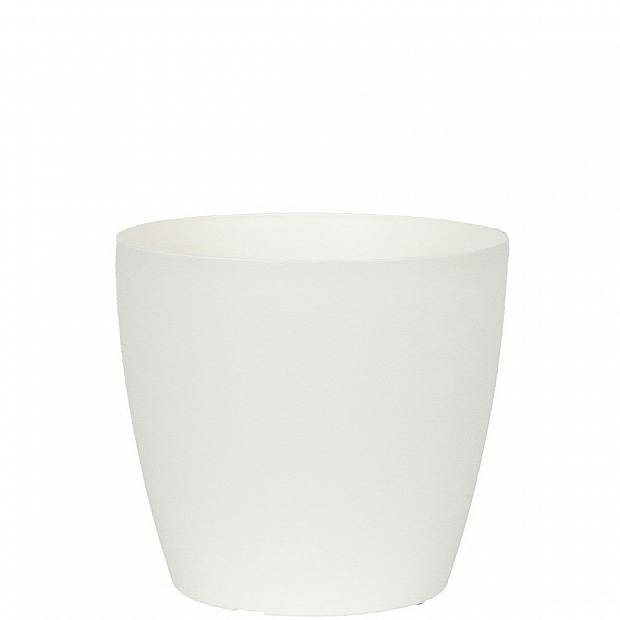 Pot blanc San Remo D36