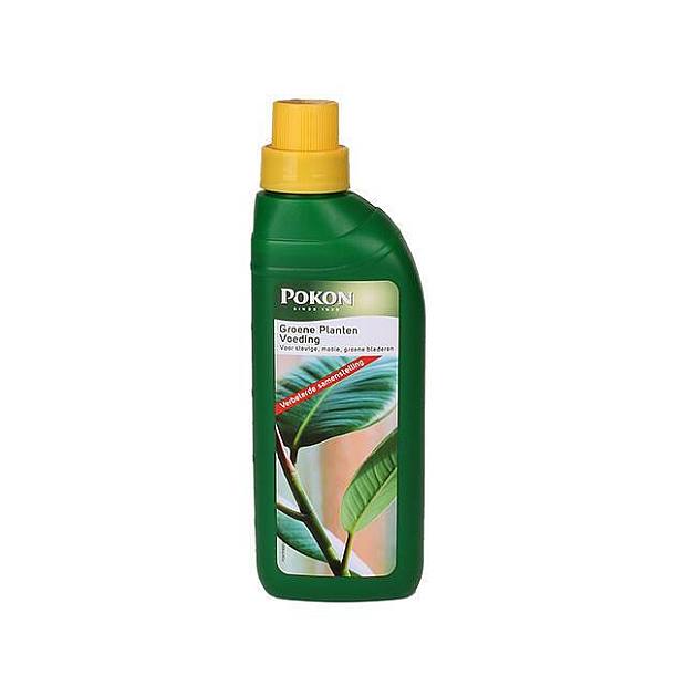 Engrais liquide pour plantes vertes