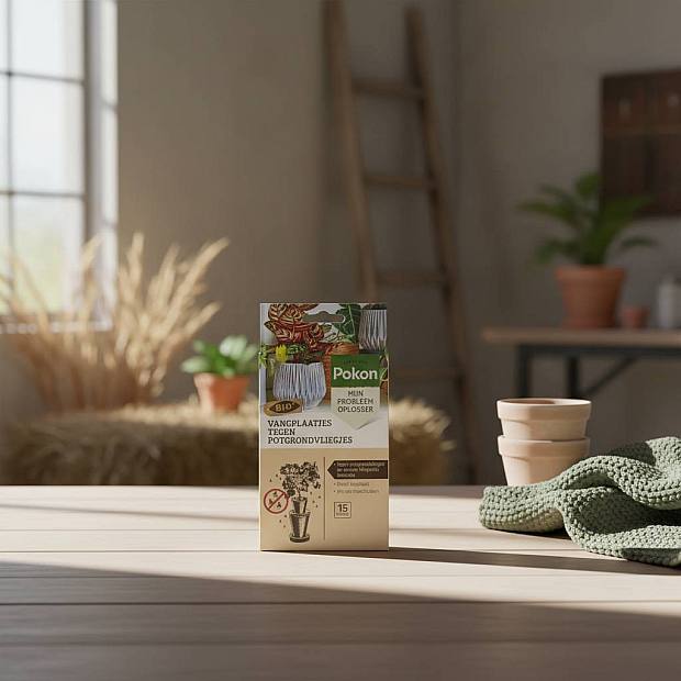 Pièges à mouches bio details