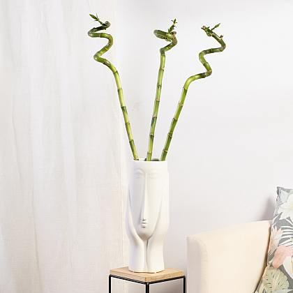 Sæt Seattle med bambus