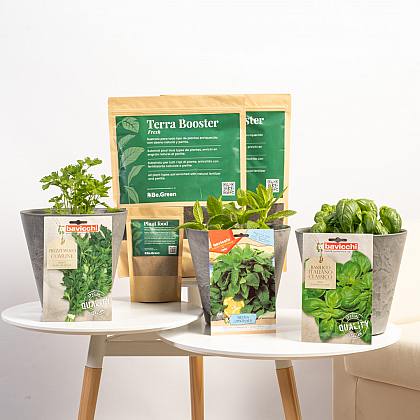 Pakke med aromatiske frø