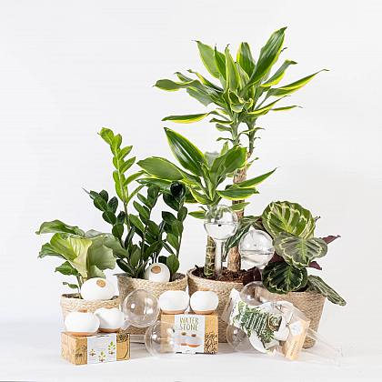 Vandingspakke til ferien