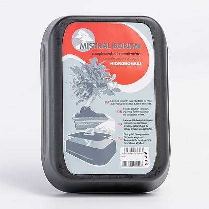 Self-irrigation Bonsai