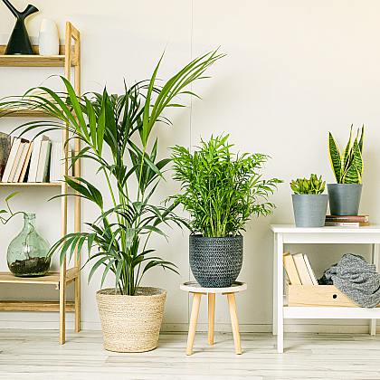 Očistná a relaxační sada