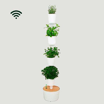 Smart Harvest Wifi M
