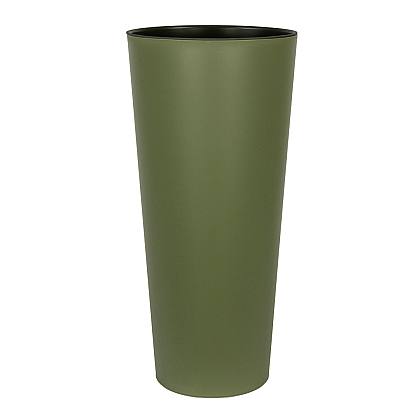 Plante verte Matt