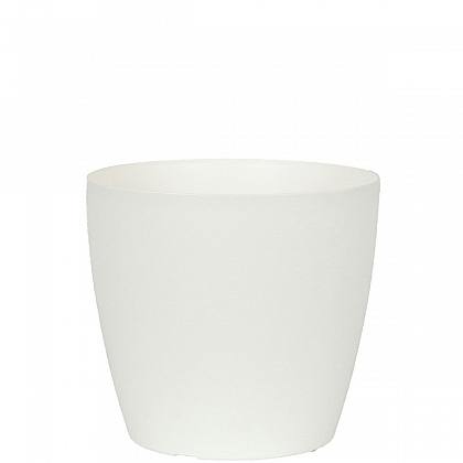 San Remo White Pot D20